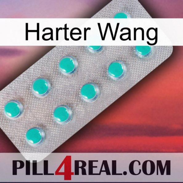 Hard Wang 28
